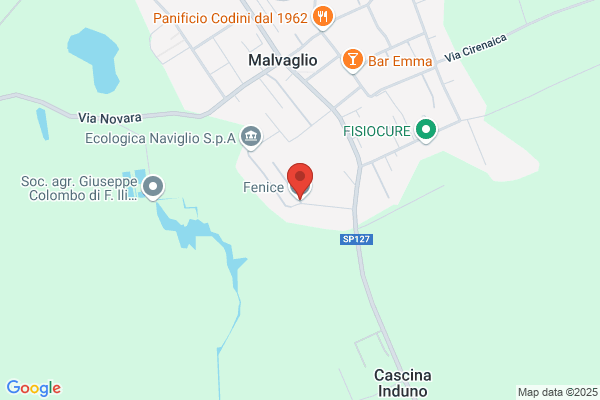 Fenice Srl