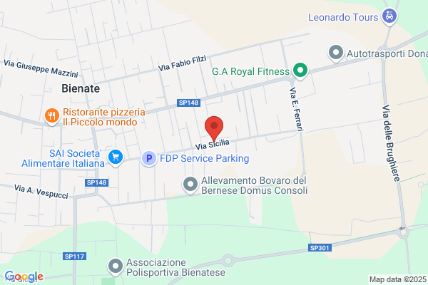 Officina Meccanica Pisoni Bruno
