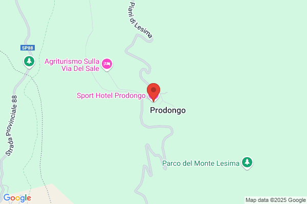 Sport Hotel Prodongo