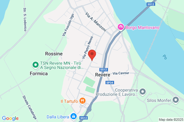 Formigoni Remo