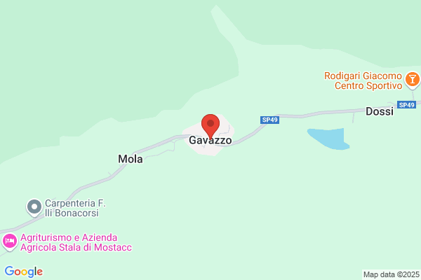 Gavazzoni Alfeo