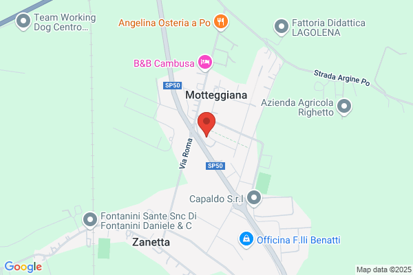 Il Ricciolo Di Bianchini Roberta