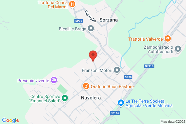 Poli marzio (Dr.)