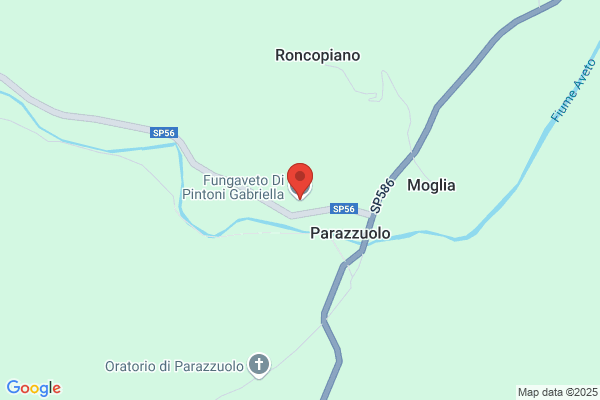 Fungaveto Di Pintoni Gabriella