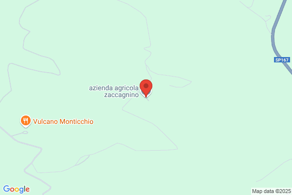 Zaccagnino elio