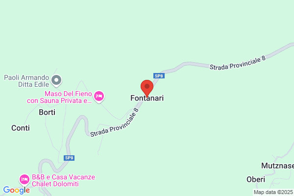 Fontanari Roberto