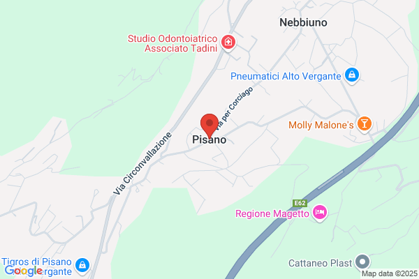 Pisano alda