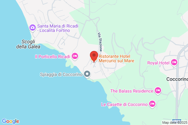 Hotel Mercurio sul Mare