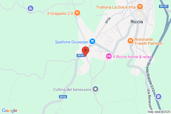 Elpi S.N.C. Di Iapalucci Elio E Iapalucci pasquale