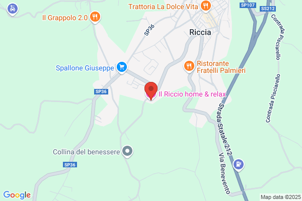 Riccitelli carmela