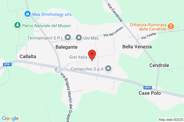 Gist Snc Di Parolin Luigi E Camillo