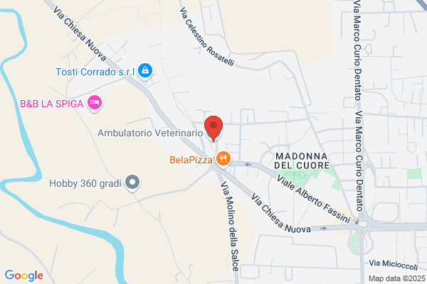 Ambulatorio Veterinario Dr.Pifani E Dr.Mancini