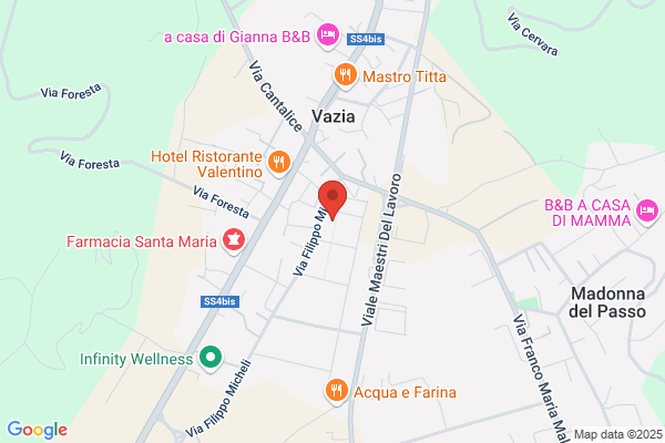 Vidia Laboratori