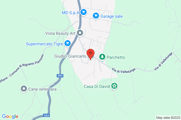 Giudici Gianni
