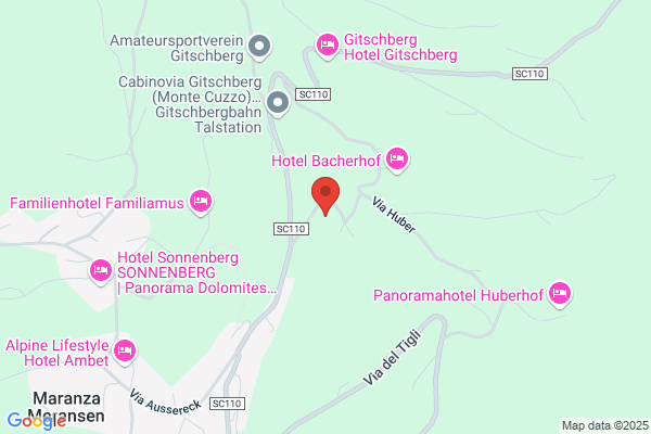 Oberhofer johann
