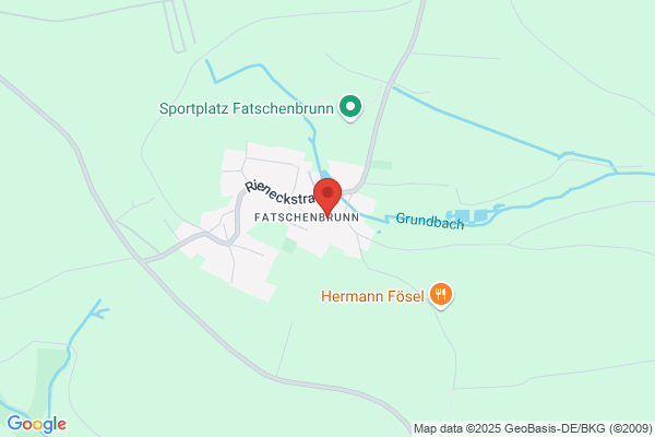 Pfaffstaller karl
