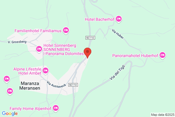 Pensione Rosenheim%pension Rosenheim pietro