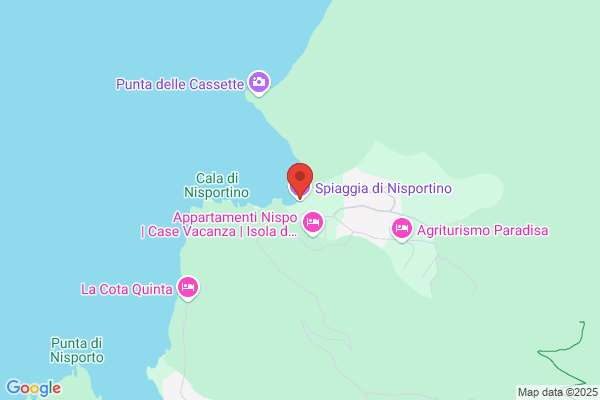 Nisportino Srl
