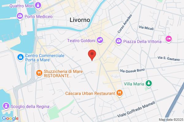Lessi maria Pia (Avv.)