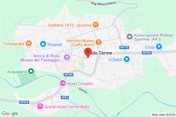 Partito Democratico Della Sinistra