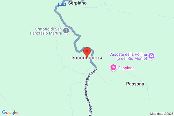 Pollacci riccardo