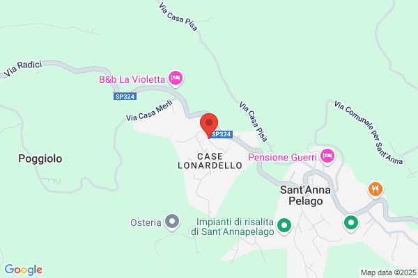 Tognarini antonio