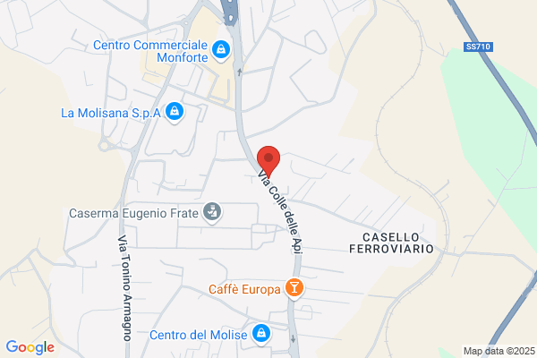 Vega Service Molise