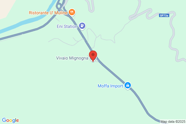 Vivaio Mignogna