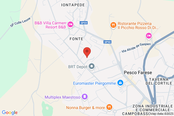 Industria Alimentare Colavita Ind.Al.Co. Spa