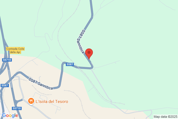 Molise bus