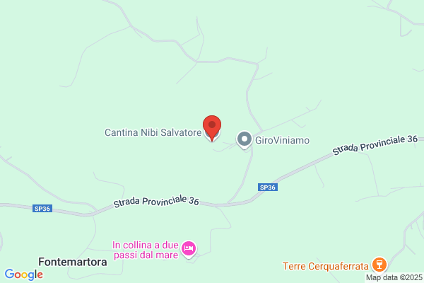 Nibi salvatore