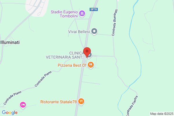 Rapidi Trasporti
