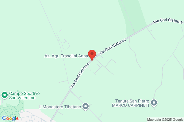 Trasolini raniero