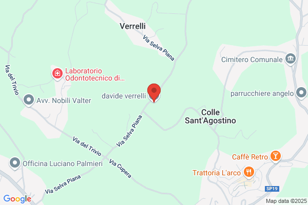 Verrelli renato