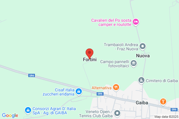 Fortini Franca