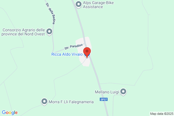 Ricca Aldo Vivaio
