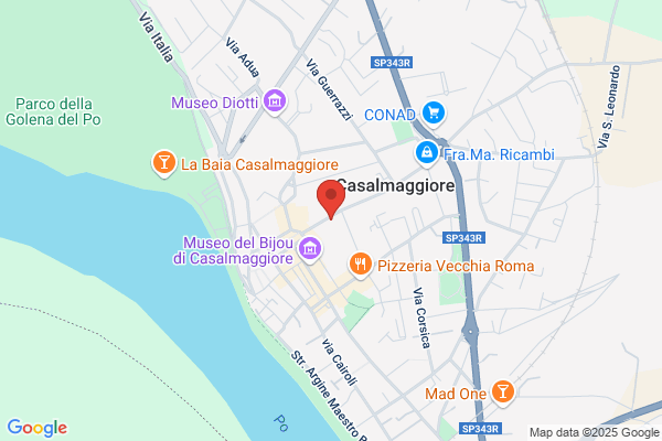 Lodi Rizzini mario (Dr.)