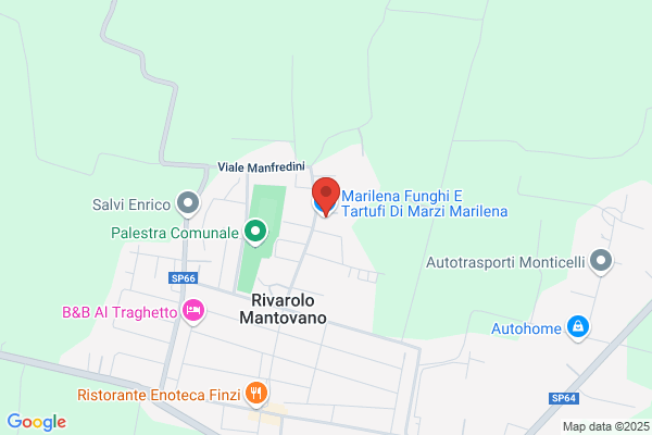Maffini norma