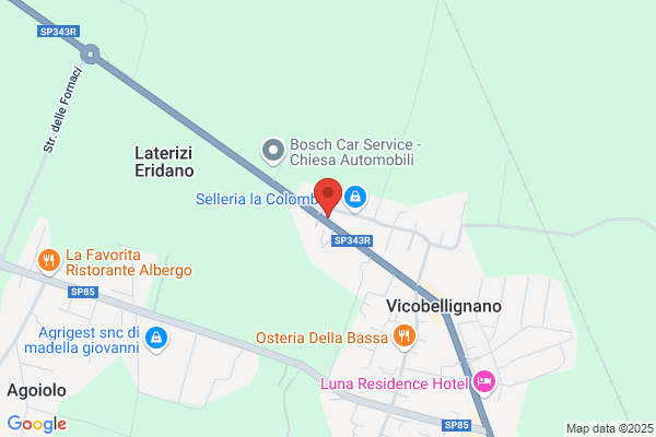 Simonazzi claudio