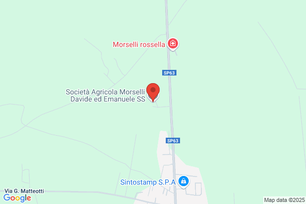 Morselli enrico