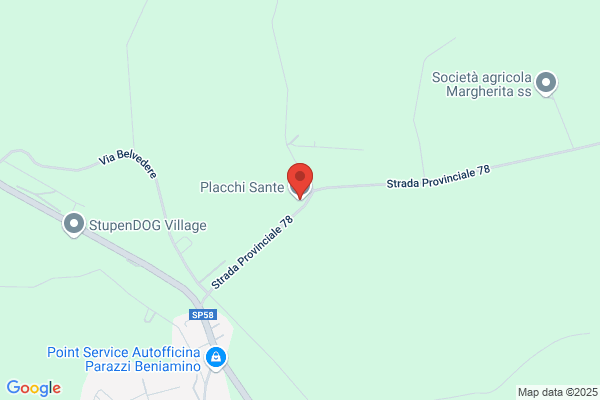 Placchi angiolino