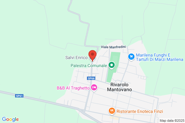 Salvi enrico