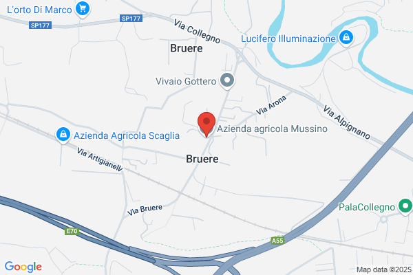 Musolino giuseppe