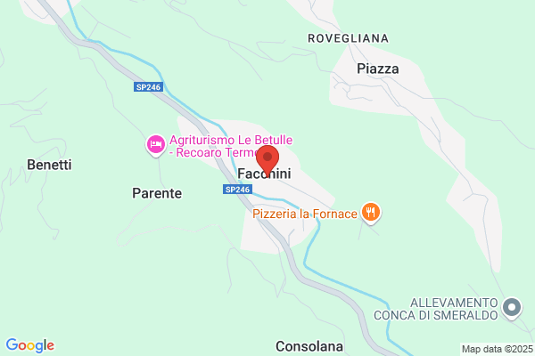 Facchini Virginia