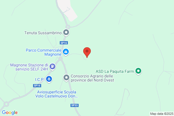 Pocobello barbara (Geom.)