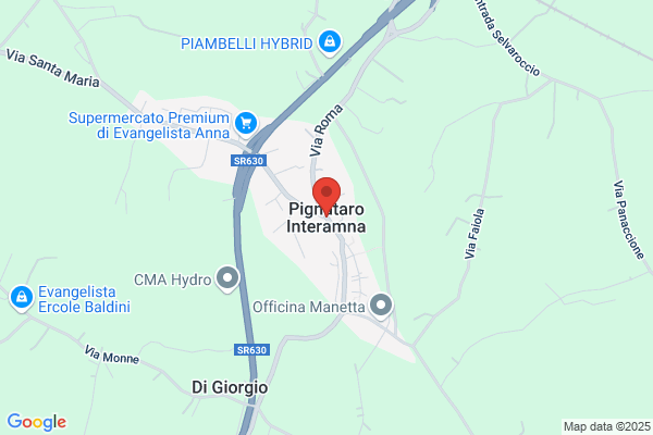 Pignataro enza