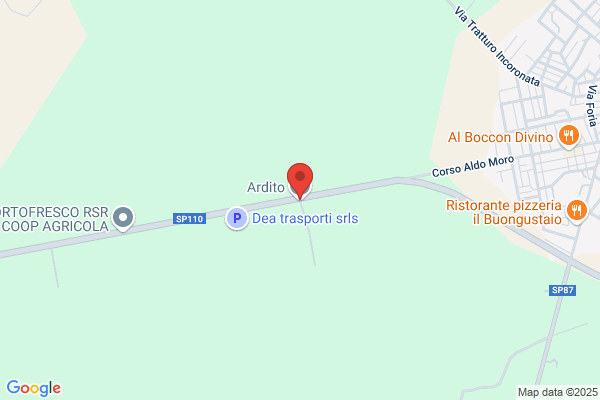 Ardito Srl