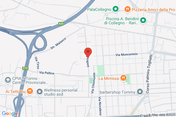 Filz Torino Feltri sas di Prola Elena
