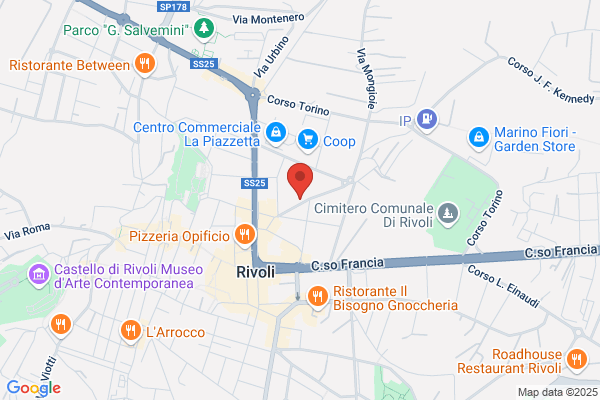 Sindacato Pensionati Italiani Cgil Torino
