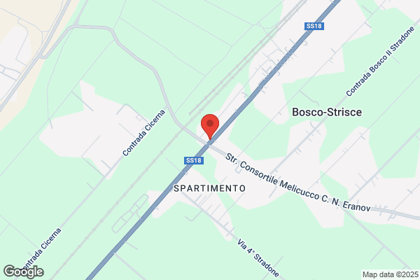 Trade E Services Trasporti